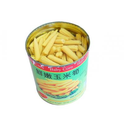 China 2021 New Canned Crop Canned Baby Corn With Good Quality for sale