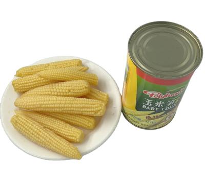 China Canned China Canned Yellow Baby Corn Whole / Cut 425g for sale