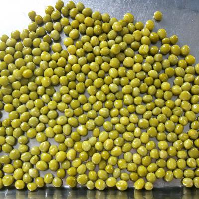 China Good Quality 400g Canned Chinese Peas for sale