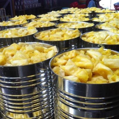 China New Culture Canned Fresh Canned Pineapple in Syrup for sale