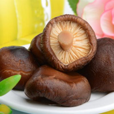 China Good Quality Canned Porcelain Canned Shiitake Mushroom 425g /2840g for sale