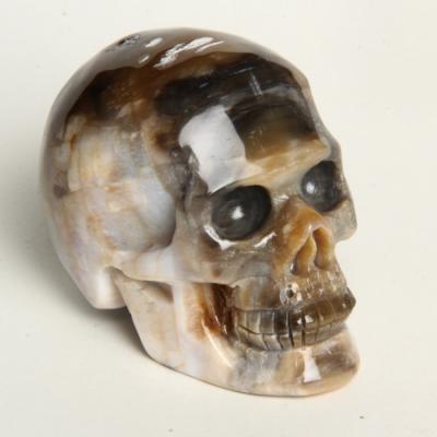 China China New Arrival Petrified Wood Fossil Stone Carved Crystal Skull For Sale for sale