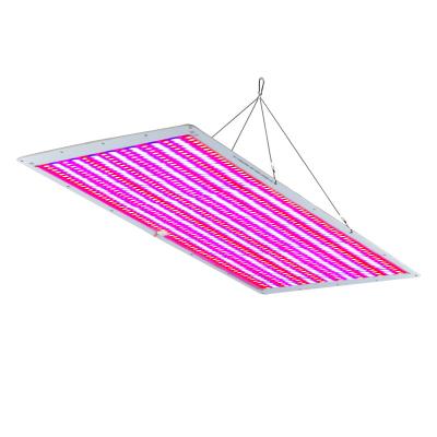 China Seed Starting Waterproof To Grow Lamp Greenhouse LED Grow Lights For Leafy Vegetable for sale