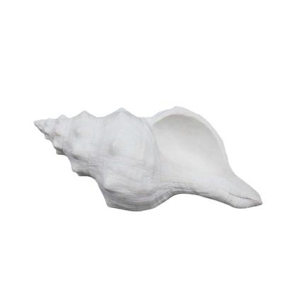 China Ocean Customized Resin Ornaments Conch Shaped Horn Resin Handwork Jewelry Conch Shell Resin Crafts for sale