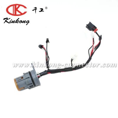 China Automotive Automobile Pump Plug Connector Car Wire Harness for sale