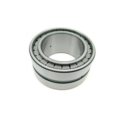 China SL RSL Full Complement Cylindrical Roller Bearing double row single row for sale