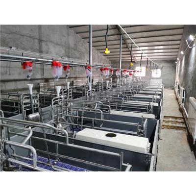 China Long Lifespan Well Made Piggery Equipment Pig Farm Automatic Sow Cage Raised Farrowing Crate for sale