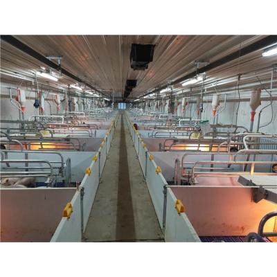 China Long Lifespan Success Pigsty Equipment Pig Farm Cage Feeding Crates for sale