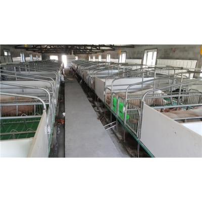 China Long Service Life Customize Pigsty Equipment Small Turnkey Cages Farm Sow Pig Farrowing Crate for sale