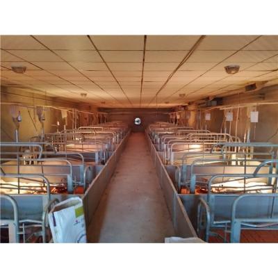 China Long Lifespan Factory Price Piggery Pig Farm Equipment Sow Hog Cage Farrowing Crate for sale