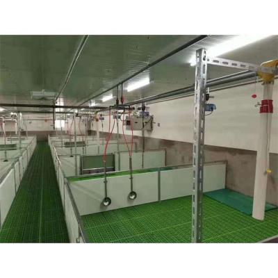 China Anti-corrosion factory selling small pigs feeder raised crate weaning farrowing stall for sale