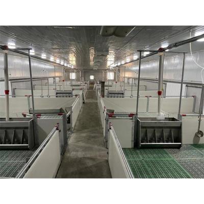 China Excellent Price Anti-Corrosion Farming Piglet House Pig Crate Weaning Farrowing Stall For Sale for sale