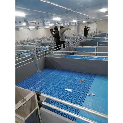 China Anti-Corrosion System Sow Stall Equipment Farm Pig Supply Factory Crate Weaning Farrowing Stall for sale