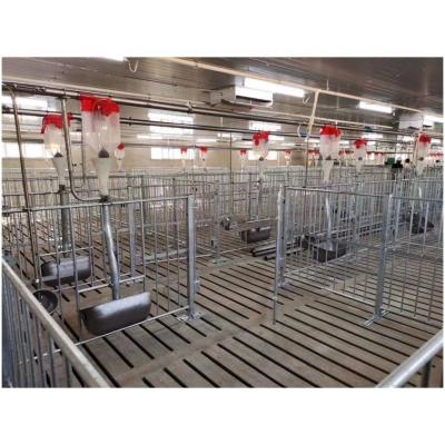 China Anti - Corrosion Customized Pig Weaning Stainless Steel Pig Gestation Crates Customized Farrowing Stall for sale