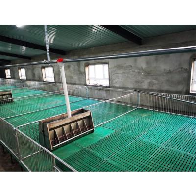 China Pen Pig Farming Equipment Farrowing Anti-Corrosion Crate Pigsty Equipment Small Weaning Stall for sale