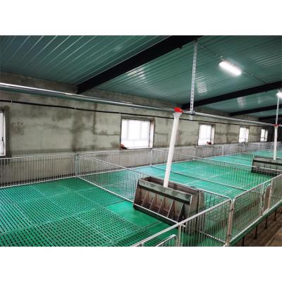 China Pig Used Farrowing Crate PVC Anti-Corrosion Fence Turnkey Weaning Stall From Small Piggery Equipment For Sale for sale