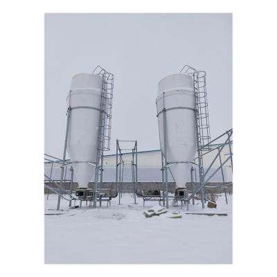 China Automatic Feeding Farm System Cereal Powder Silo / Stainless Steel Hog Silo Poultry Farm for sale