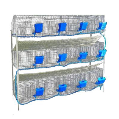 China Easy Operation Hot Sale Silver Farm Accessories Steel Rabbit Cages Rabbit Cages Manufacturers for sale