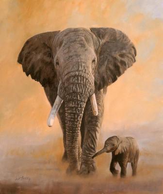 China Modern African Elephant Face Animal Paintings With Frame for sale