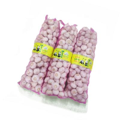 China Natural Fresh Garlic Fresh Garlic 5.5cm Normal White China Red Pack Of Small Bulk Mesh Bag Fresh Garlic for sale