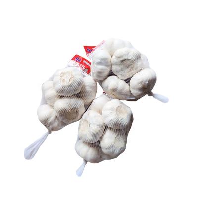 China New Cultivation Small Pack Mesh Fresh Pure White Organic Bag Snow Garlic White Fresh Garlic Garlic for sale