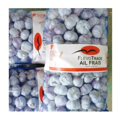 China Cheap product type of fresh professionally made vegetables wholesale fresh garlic for sale