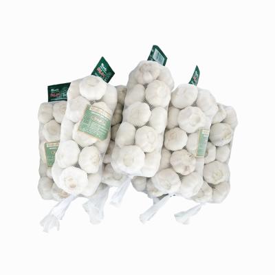 China Small pack of Chinese fresh pure white garlic garlic in carton Chinese fresh pure white garlic for sale