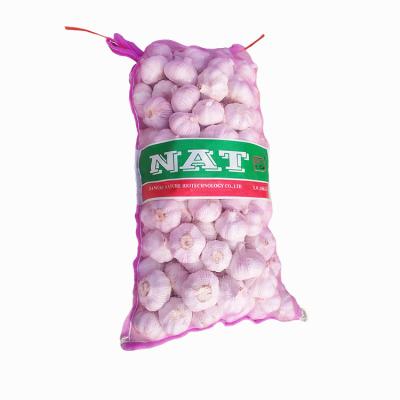 China Natural White Garlic Newest 2021 Fresh Fresh Garlic Culture In Carton Mesh Bag High Quality Natural White Garlic for sale