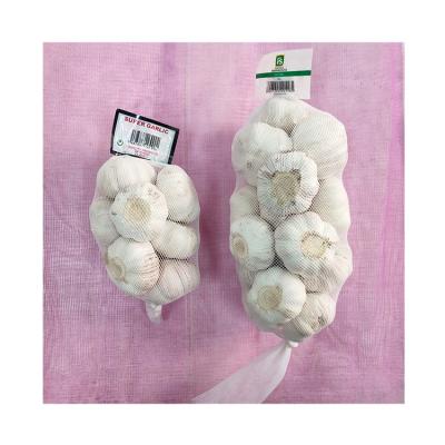 China High quality fresh garlic fresh normal white garlic export culture new for wholesale fresh white garlic for sale