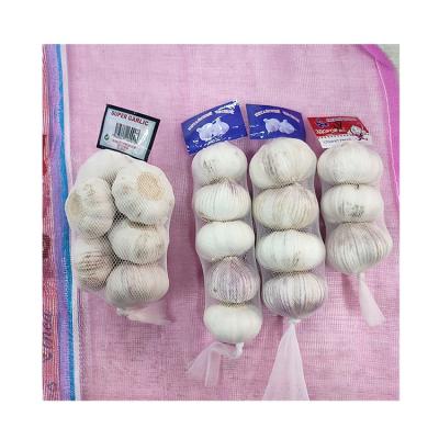 China Newest Normal Fresh White Garlic Chinese Culture Garlic In Carton Box 10KG Wholesale Normal White Garlic for sale