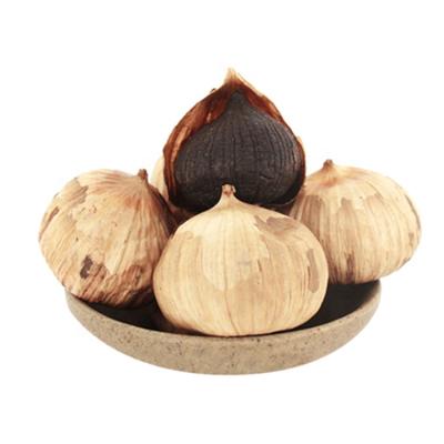 China High quality chinese black garlic dry black garlic for wholesale black garlic for sale