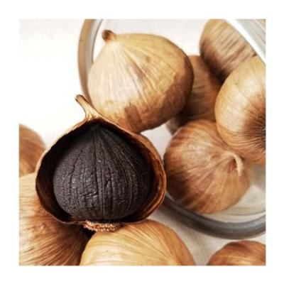 China Wholesale Black Garlic High Quality Black Garlic Best Price Dry Black Garlic for sale