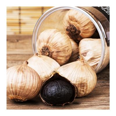 China High quality solo black garlic dry black garlic for wholesale black garlic for sale