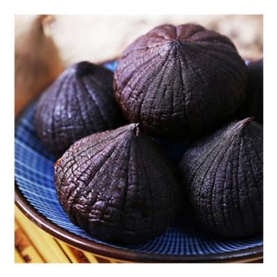 China Fresh black garlic healthy food for black garlic high quality black garlic wholesale for sale