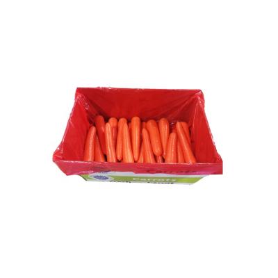 China High Quality Fresh Carrot Fresh Organic Carrots In Carton S M L Professional Export Fresh Carrot for sale