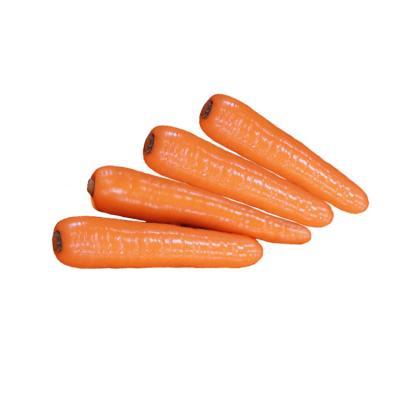 China Fresh Carrot Fresh Organic Carrots In Carton S M L Professional Export Fresh Carrot for sale