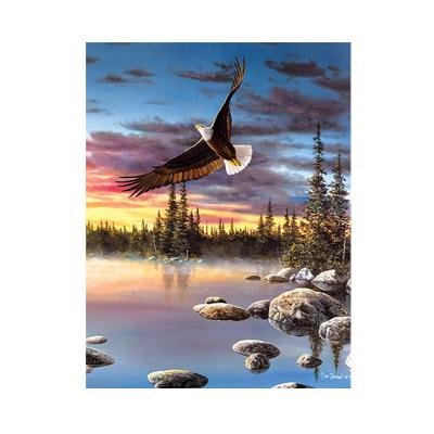 China Non-toxic Wholesale Hot Sale Full Round Drill Landscape Eagle Flying Painting 30*40cm for sale