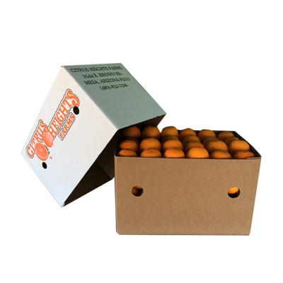 China Recyclable Fruit Mailers Corrugated Gift Box Telescope Corrugated Flat Pack Boxes for sale