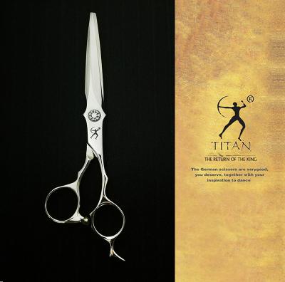 China Beard Trimming Professional Hair Scissors 6inch Steel Screw Ball Barber Scissors vg10 for sale