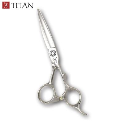 China Cutting titan hair scissors double rolling ball screw vg10 steel scissors for sale