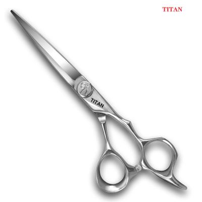 China Cutting Hair Scissors Barber Cutting Scissors Japanese Hair Shears Barber Shears 6.0 Thinning Tools for sale