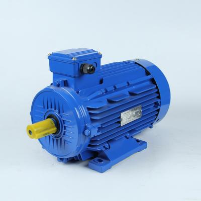 China Totally Enclosed Small Three Phase Electric AC Motor 1HP 0.75KW 3000RPM for sale