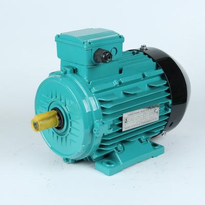 China Totally Enclosed AC 30 Kw Induction Electric Motor High Quality Asynchronous Motor for sale