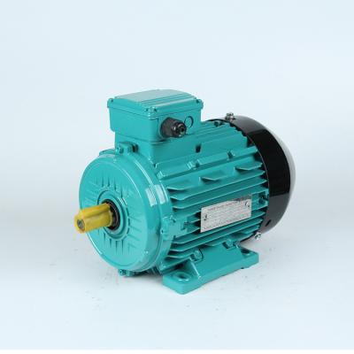 China Totally enclosed 11kw 15kw 18.5kw 22kw 100kw 130kw 132kw 160kw 200kw 380v 660v Ie2 Ie3 three phase motor for sale