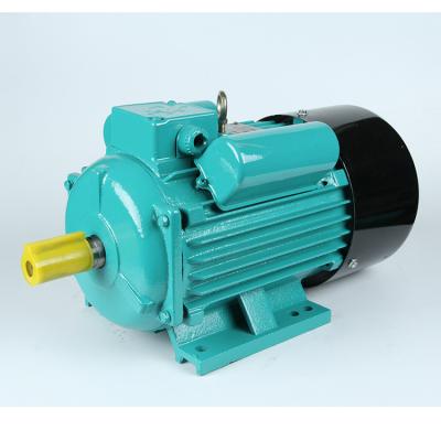 China Totally Enclosed Cast Iron Housing YC100L-4 2hp 1.5KW 240 Volt Single Phase Motor for sale