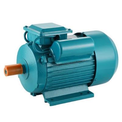 China YL Single Phase Totally Enclosed Motor With Two Value Capacitor 0.75kw 1HP 2.2kw 3HP 110/220V for sale