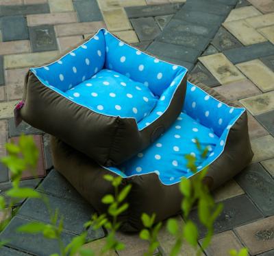 China stocked dog bed for sale