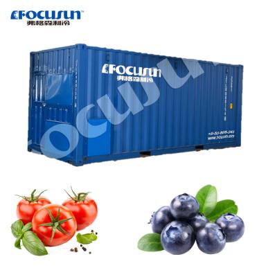 China 20ft Solar Container for Meat Vegetable Fish and Fruit Storage Building Material Shops for sale