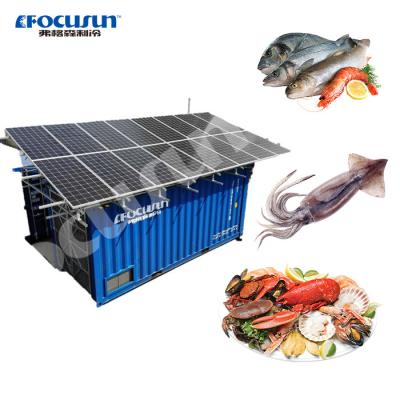 China 380v/3p/50hz Voltage 20FT Mobile Container Solar Power Cold Storage Room for Products for sale