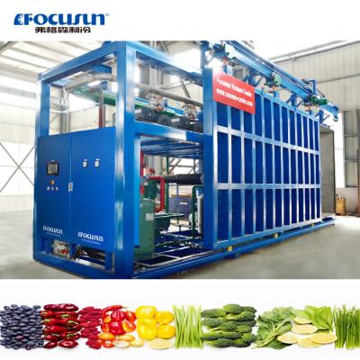 China Bizter Emerson Compressor Vacuum Cooling Equipment for Lettuce Precooling in Industry for sale